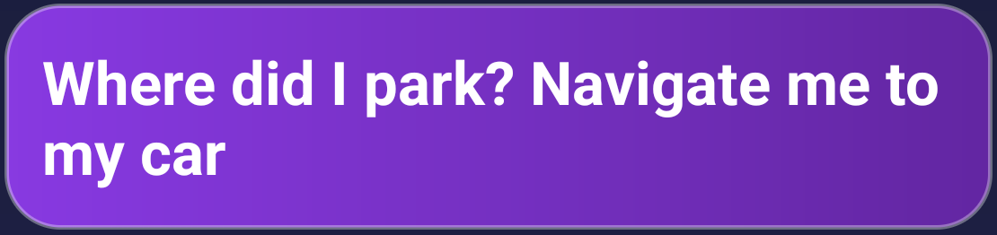 "Where did I park? Navigate me to my car"